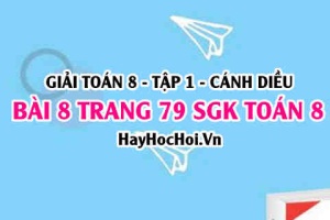 Giải bài 8 trang 79 Toán 8 Tập 1 SGK Cánh Diều